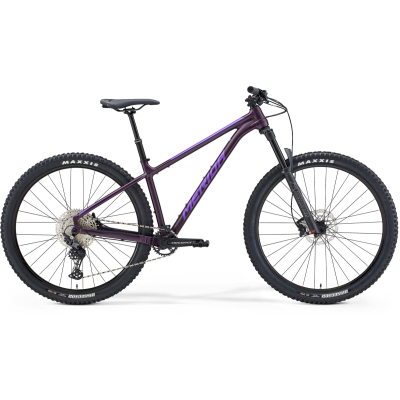 Big Trail 600 Purple